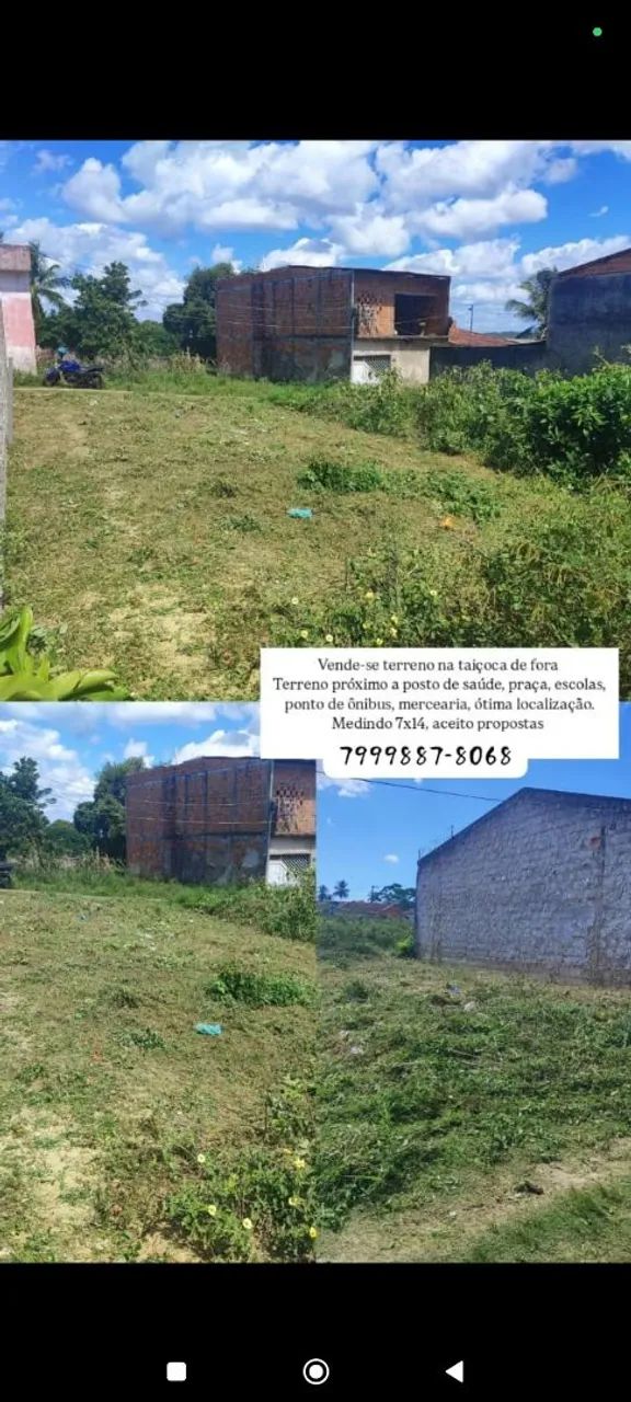 TERRENO