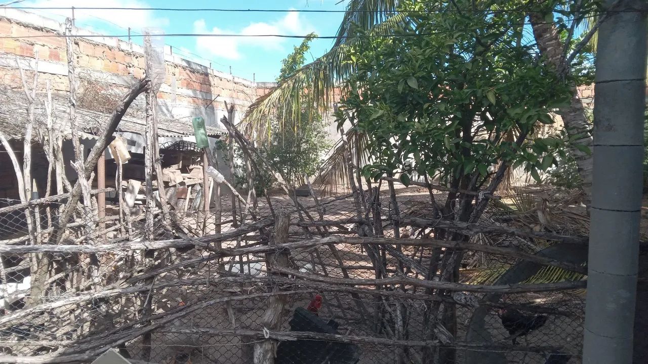 Casa do conjunto bolival  - Foto 3