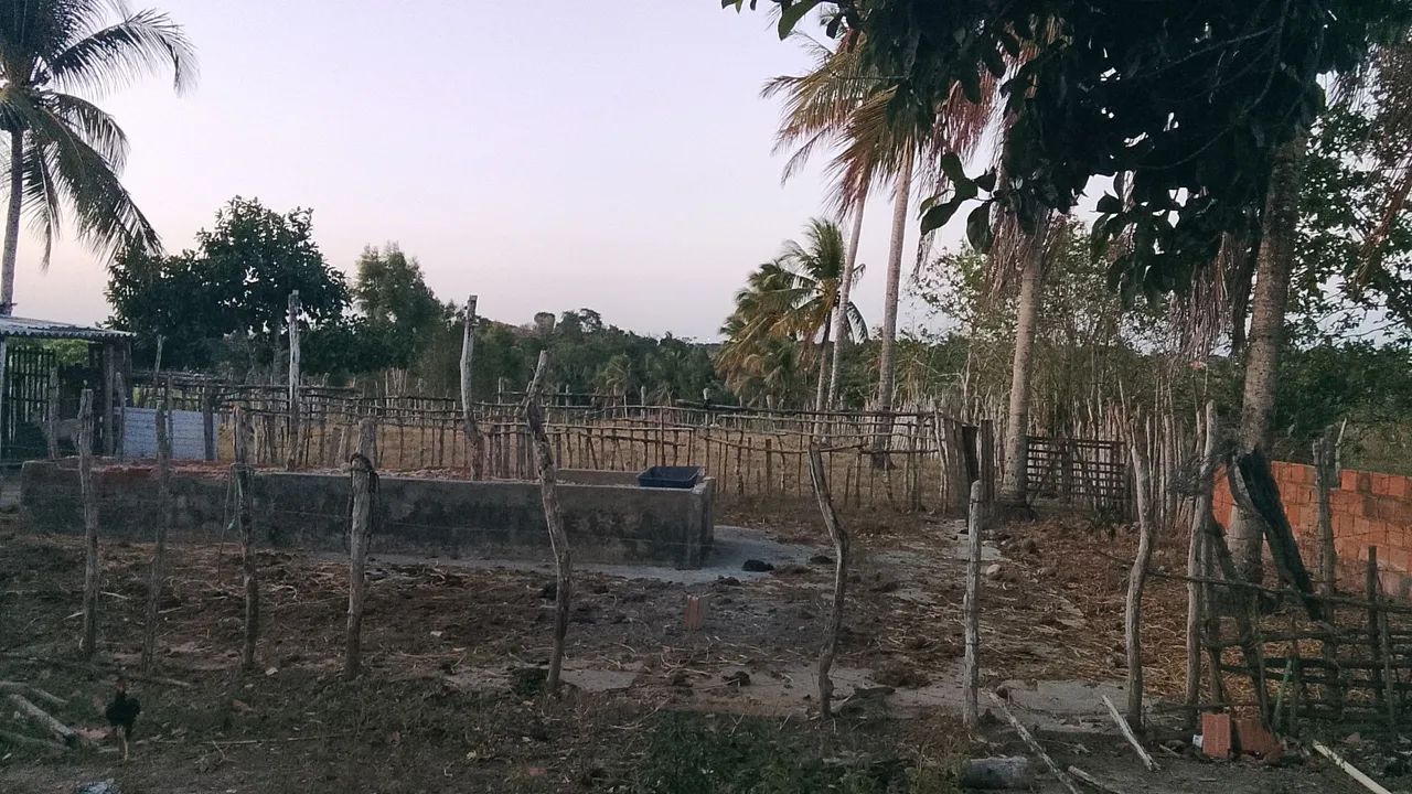 Vendo propriedade no povoado tombo  - Foto 11