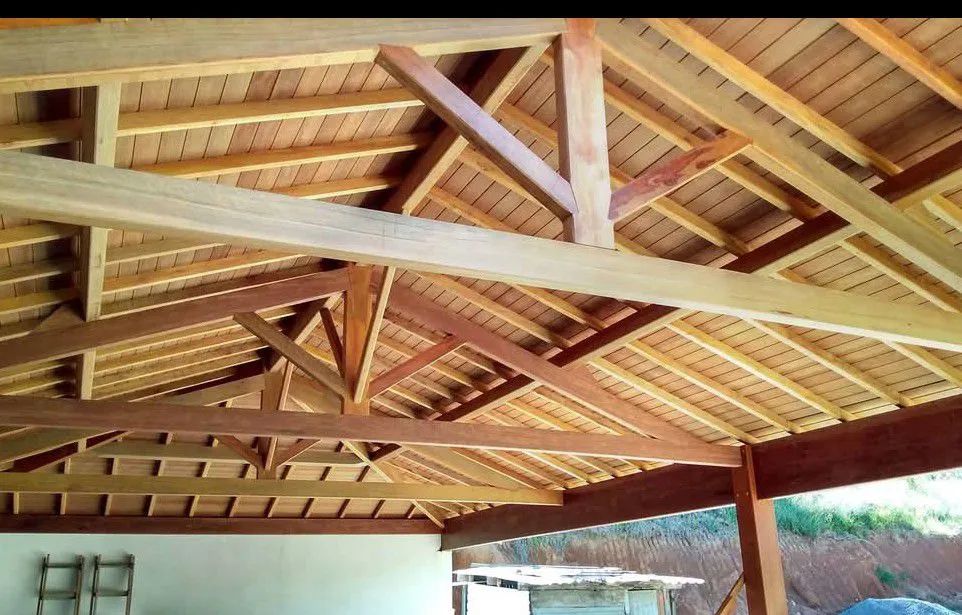 Carpinteiro  - Foto 5