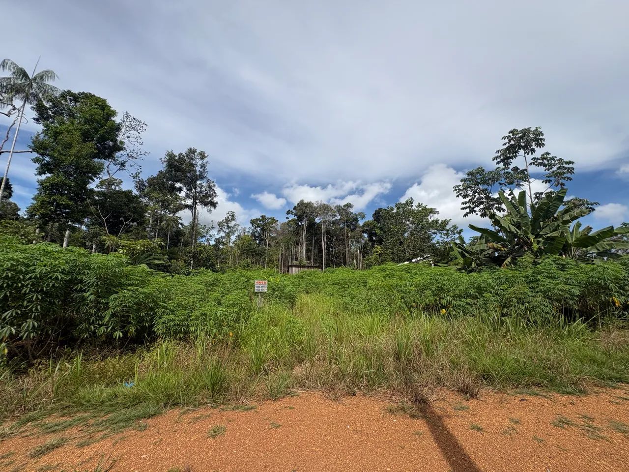 Foto - Porto Velho - Lagoa