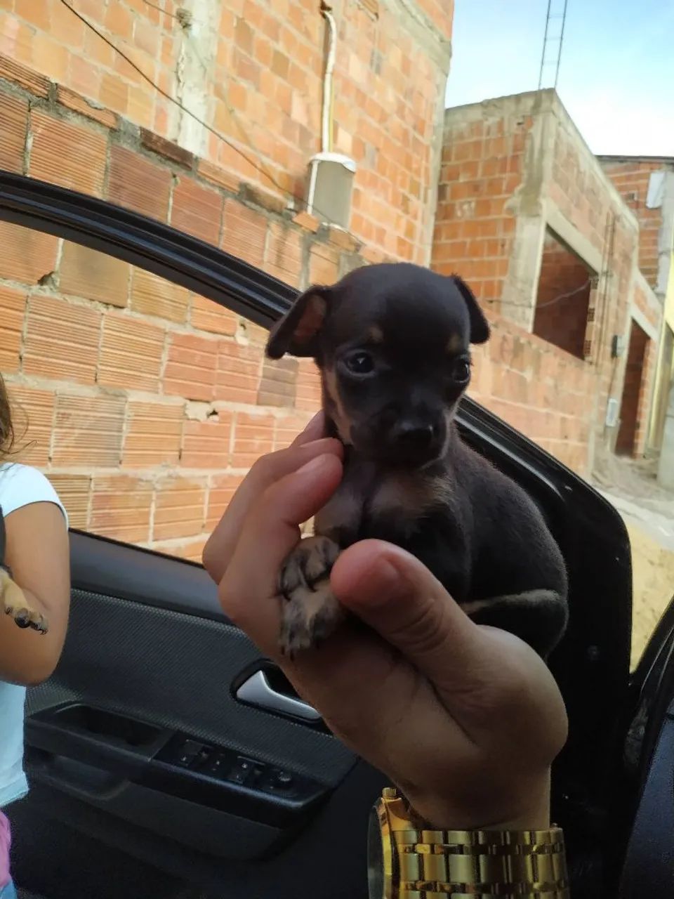 Pinche Zero 