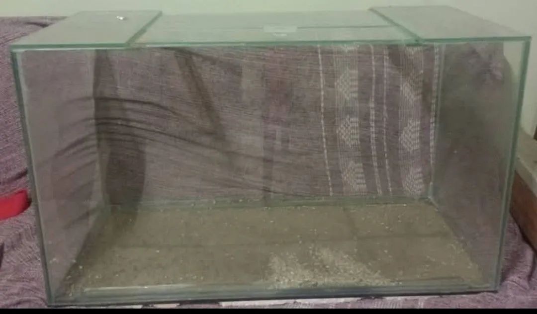 Vendo aquário medida 70x40x30 zap *
