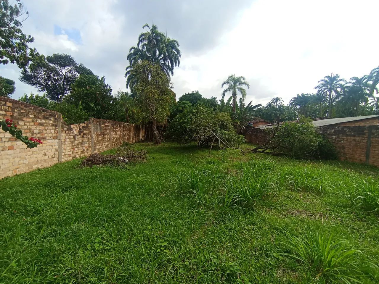 TERRENO GRANDE - Foto 2