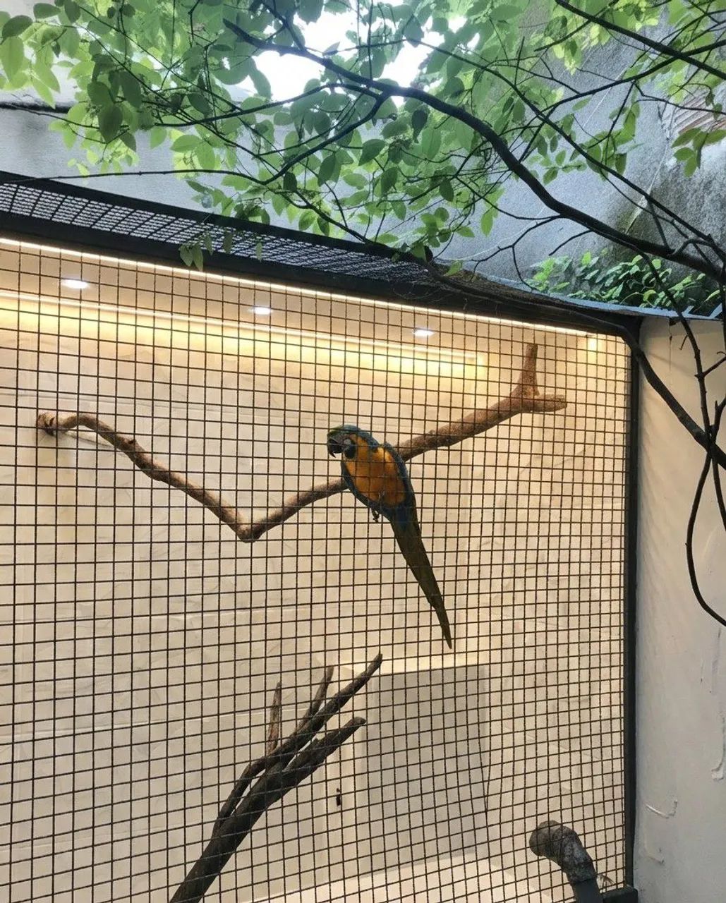 Pintura Casas e apartamentos Campinas - Foto 5