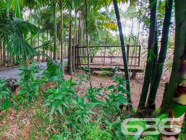 Chacará | Joinville | Pirabeiraba - Foto 3