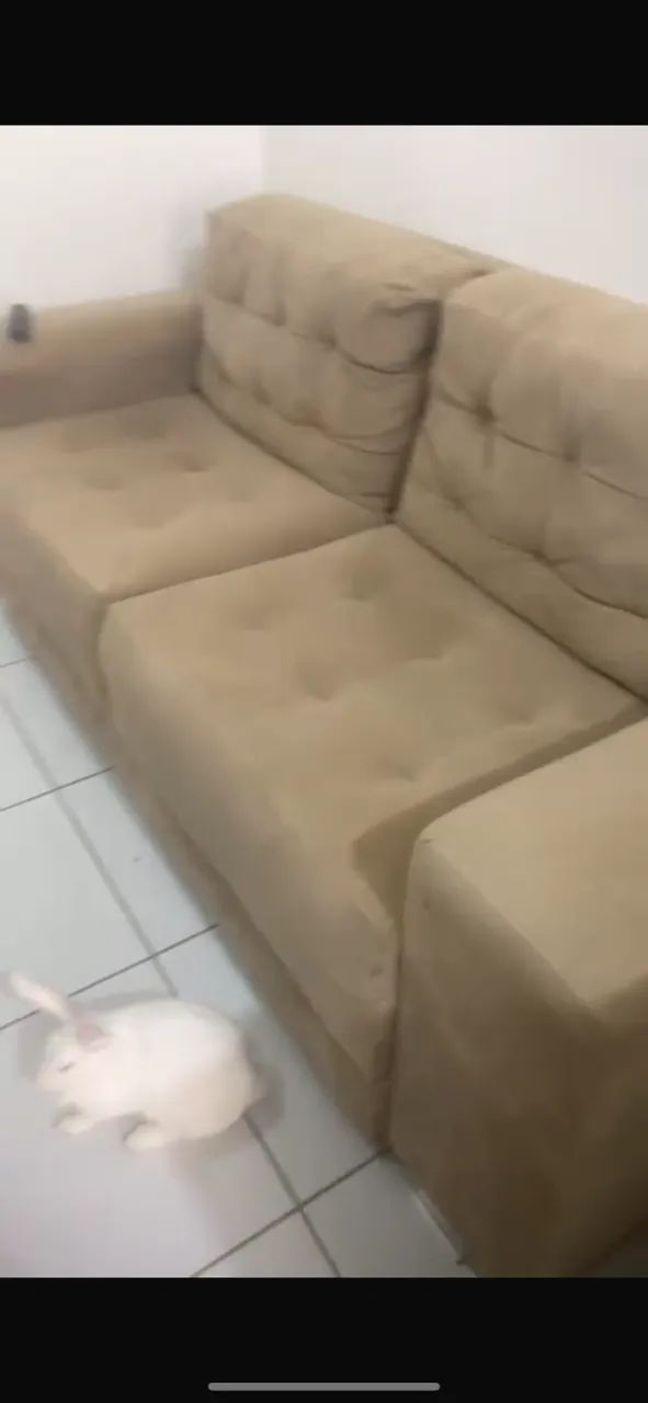 VENDO GURADA-ROUPA 7 meses de uso e SOFÁ - Foto 4