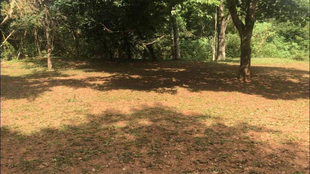 Foto - Franca - Jardim Santa Efigênia