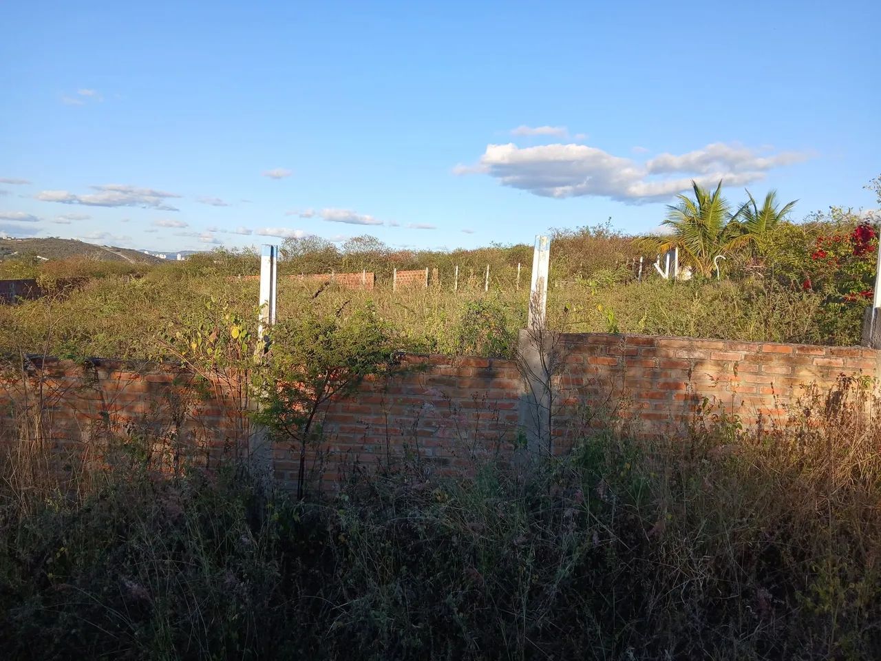 Terreno localização privilegiada no taquara - Foto 3