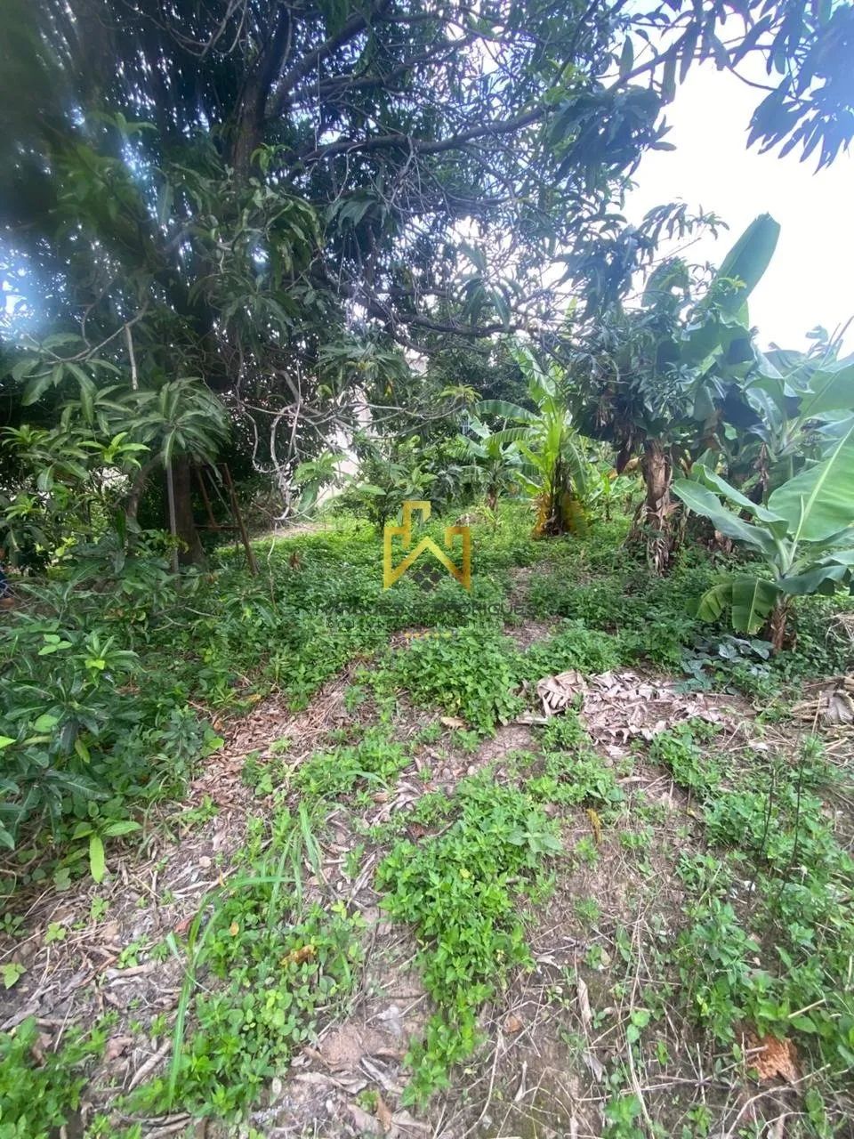 Lote de Oportunidade no Copacabana - Foto 4