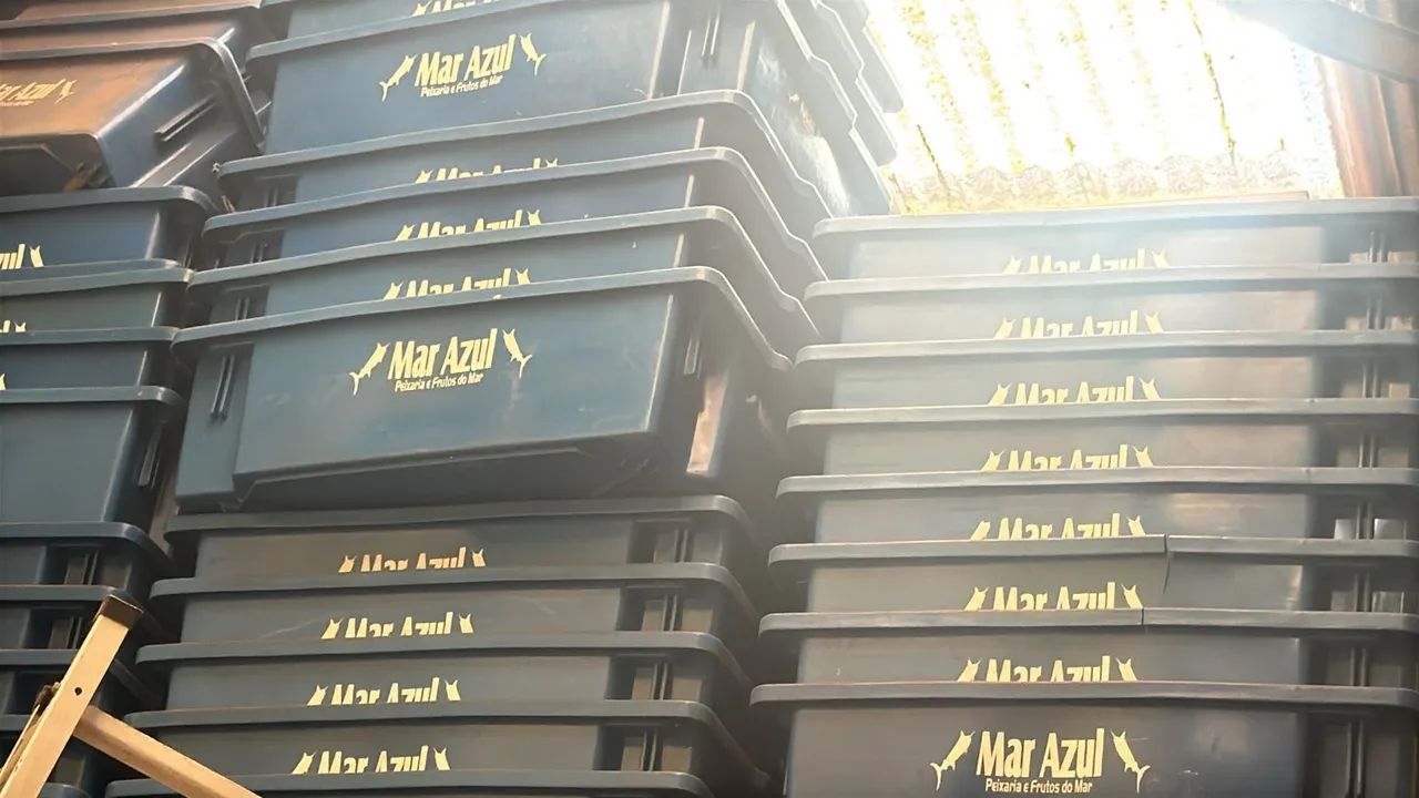Caixa plásticas para Pescados