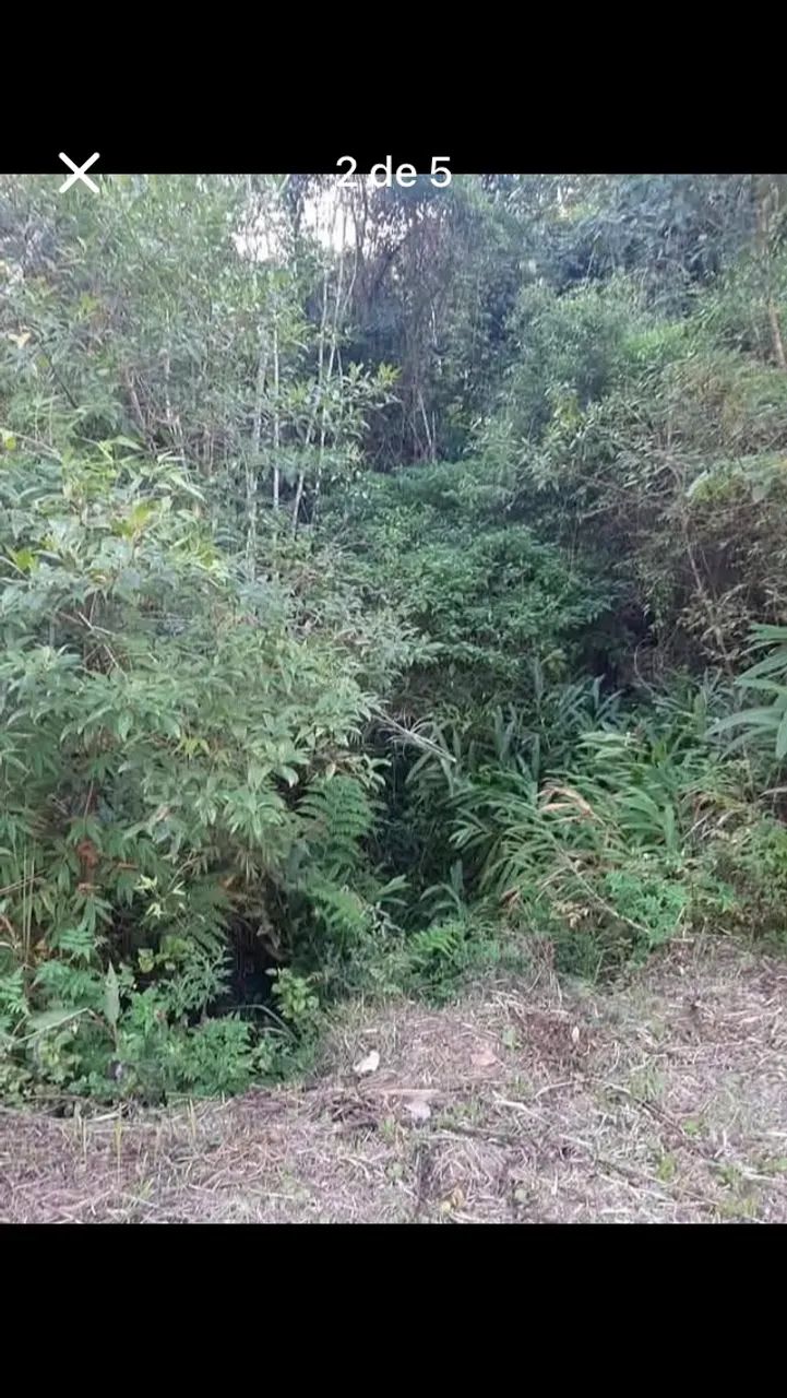 Foto - Juquitiba - Barnabés