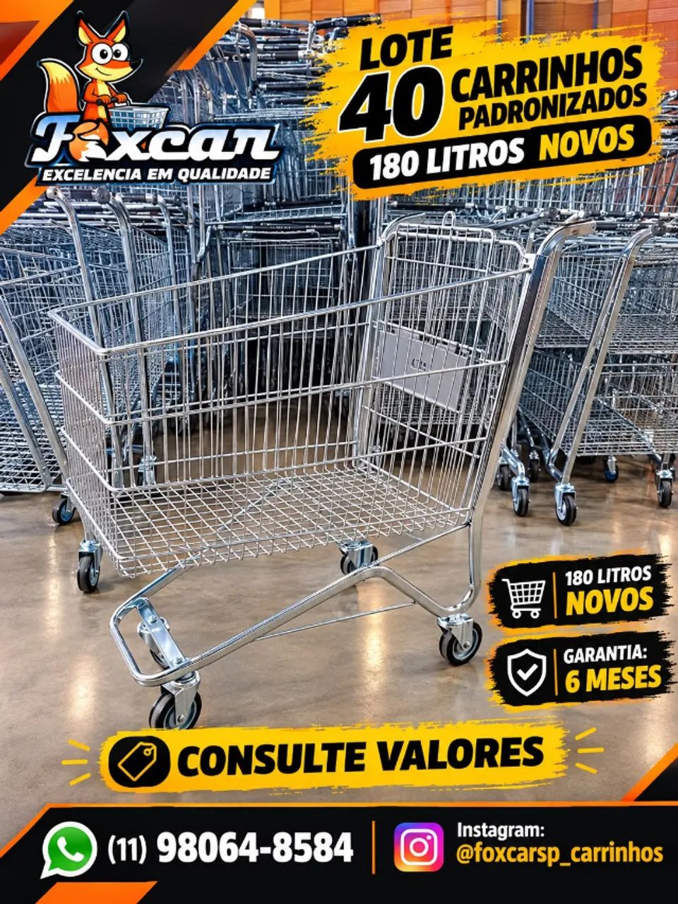 LOTE 40  CARRINHOS 180 LT PADRONIZADOS 