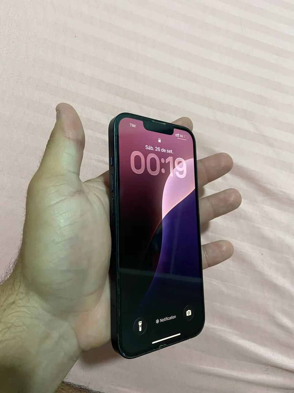 iPhone 13 256gb Todo Original 
