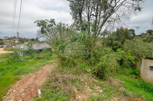 Terreno à venda em Jardim do rocio, Almirante tamandaré cod:154410 - Foto 2