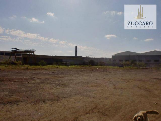 Terreno industrial para locação, vila nova bonsucesso, guarulhos - te0408.