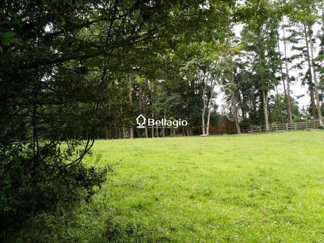 Terreno - Foto 3