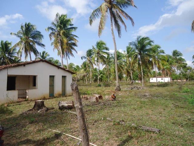 Vendo Granja em Touros-49 hectares-Escritura Publica-1500 pé de Coqueiros-Pau-Caju - Foto 16