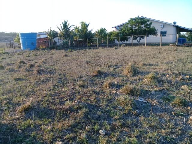 Lindíssima Fazendinha na região rural de Antonio Cardoso Bahia - Foto 9