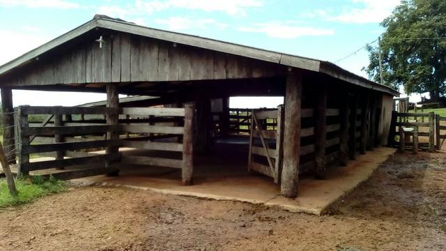 Fazenda em rio branco mt - Foto 13