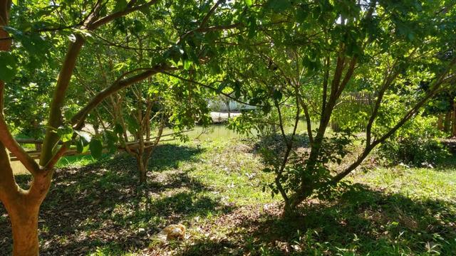 Sítio 4 Hectares - Casa de 3 Quartos - 5 Açudes - Galpão - São Sebastião - Treze de Maio - Foto 20