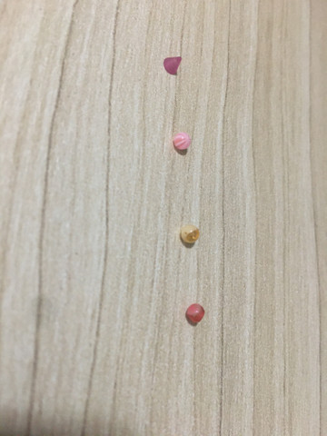 Piercing e spykes - Foto 3