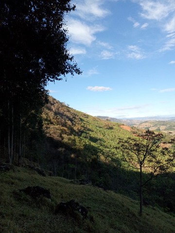 Vendo Excelente Terreno 35 hectares em Maria da Fé Sul de Minas Gerais - Foto 2