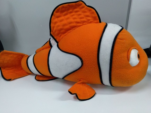 Peixe nemo anúncios na OLX Brasil