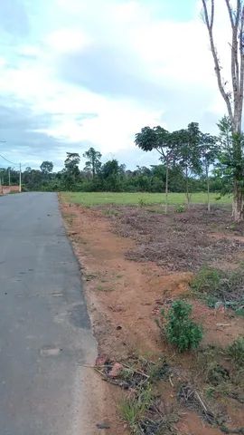 Chácaras Rio Negro,  lotes 3.000 m2, excelentes preço e transferência. - Foto 5