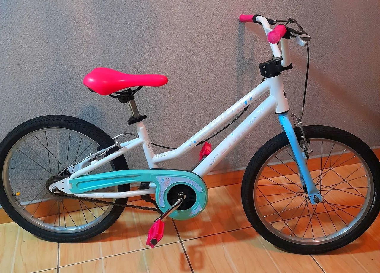 Bicicleta Infantil Aro 20