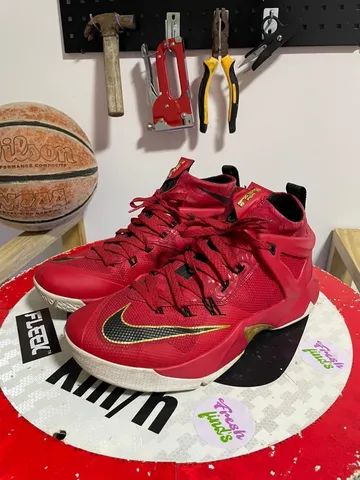 Lebron james ambassador 8 sale