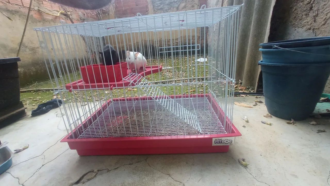 Vendo Gaiola para Coelho, Porquinho da Índia, chinchila, hamster 