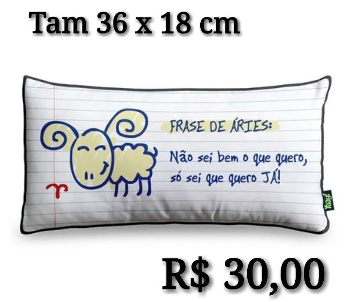 Almofada Decorativa Aries - Frase Engraçada