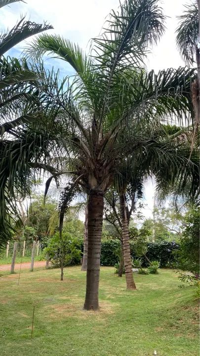 Vendo Chácara com piscina e área verde em condomínio fechado - Foto 5