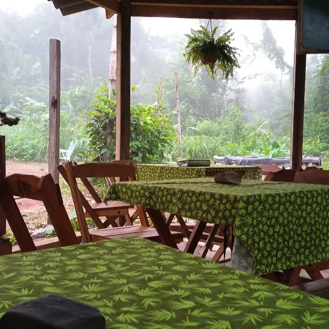 OPORTUNIDADE ÚNICA! ADQUIRA UM PARAÍSO NATURAL EM ALTA FLORESTA - MT