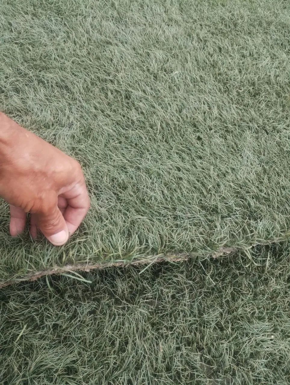 Grama sintética vendo e instalo - Foto 4