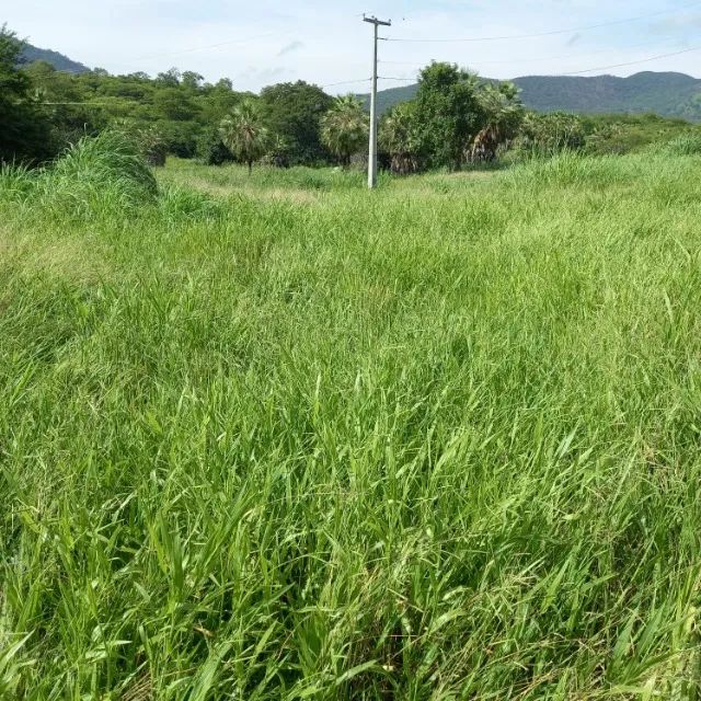 Sítio na zona rural de Cajazeiras - PB
