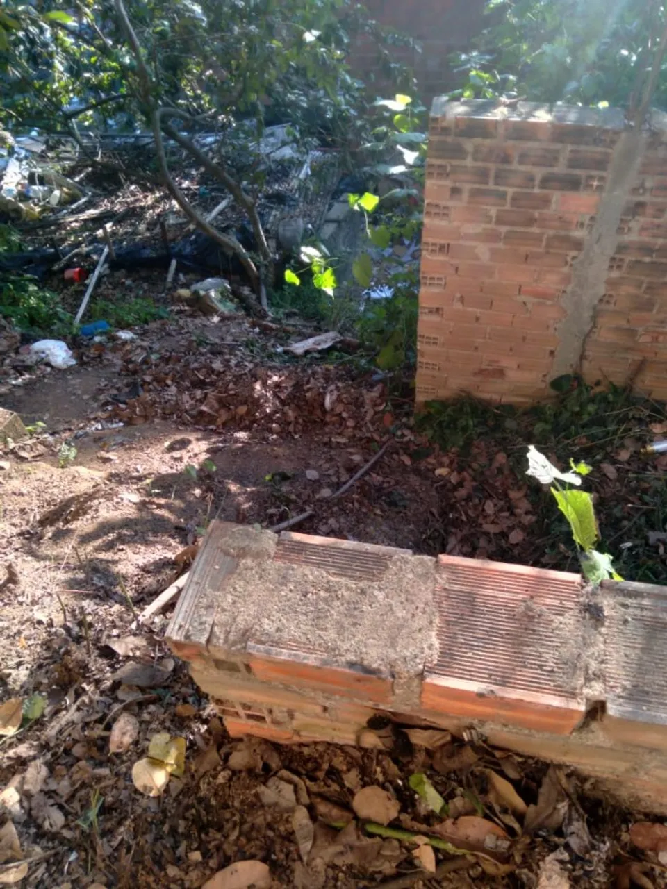 Terreno