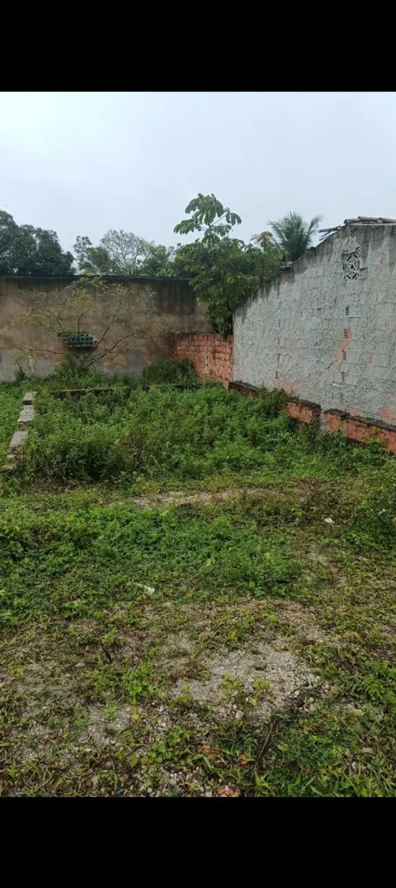 Terreno no precinho