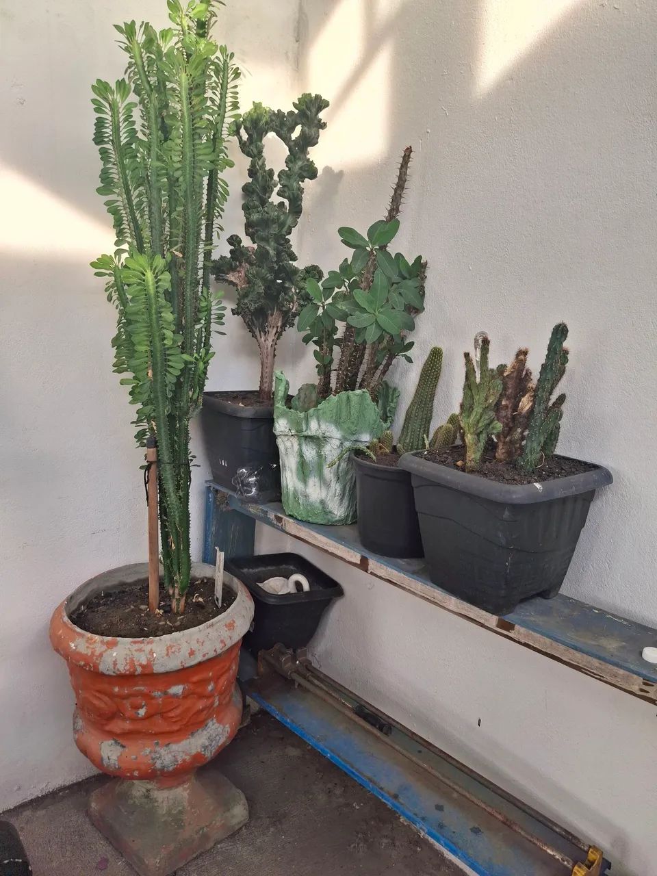 Vaso de plantas  - Foto 3