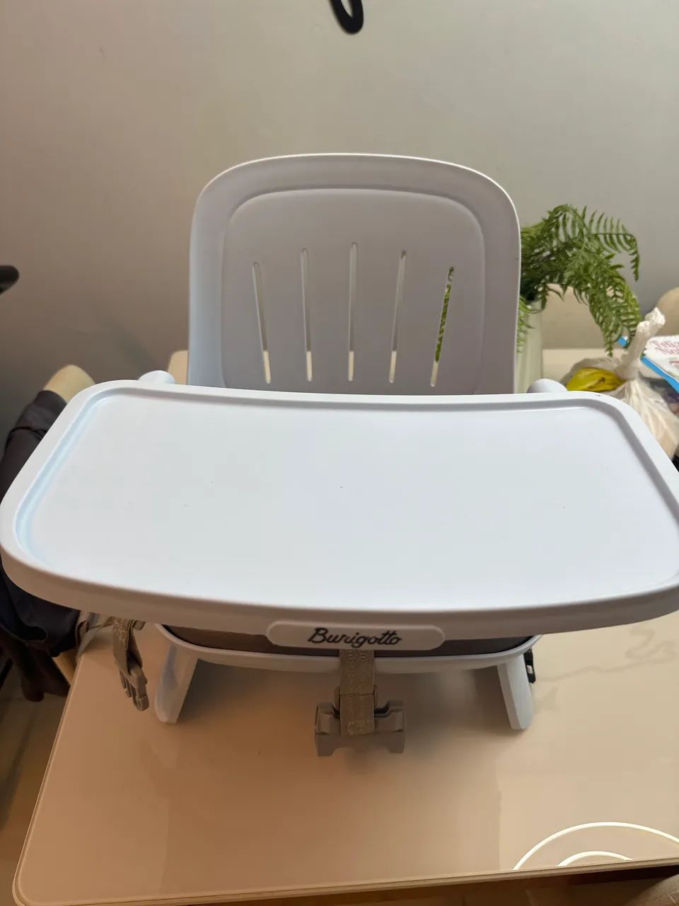 Cadeira de alimentação burigotto 
