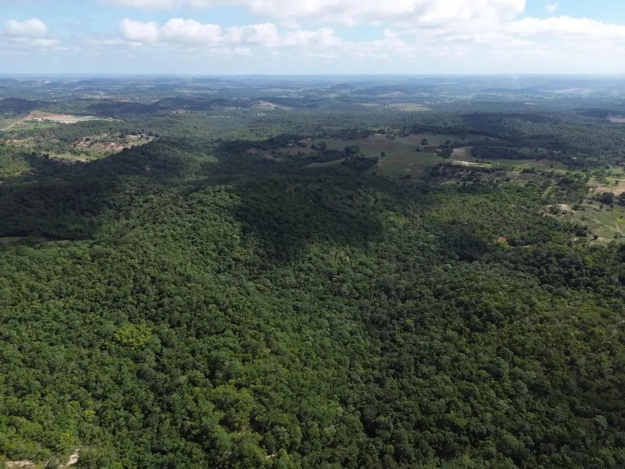 Fazenda de 70 Hectares em Candeias - Bahia - Foto 4