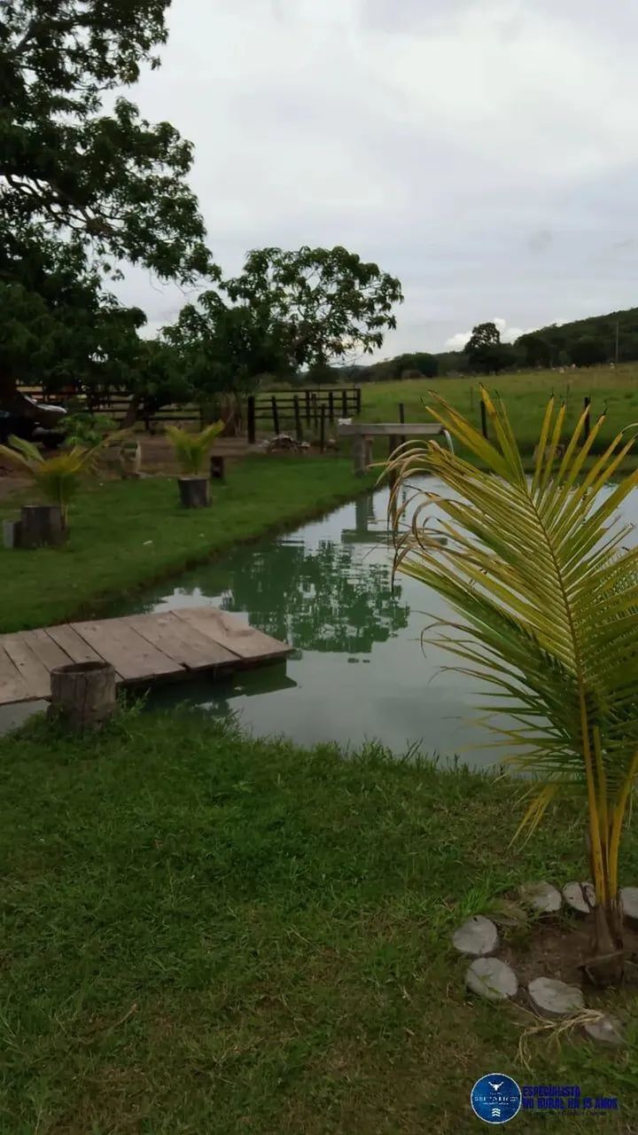 Chácara em Mairipotaba, Goiás com 5 alqueires