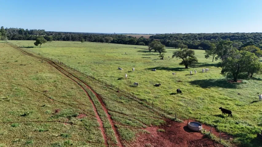 16 Hectares com Córrego em Campo Grande MS!