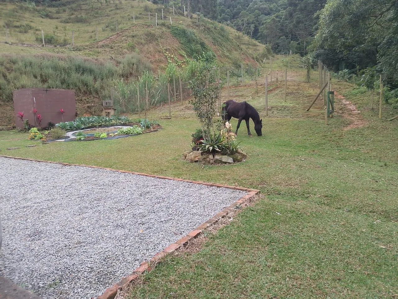 ANITÁPOLIS/SC - Belíssimo sítio apenas 3km do centro - Foto 3