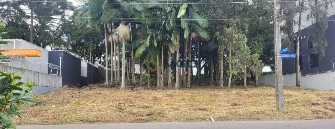 Terreno à venda no bairro Cidade Industrial - Curitiba/PR