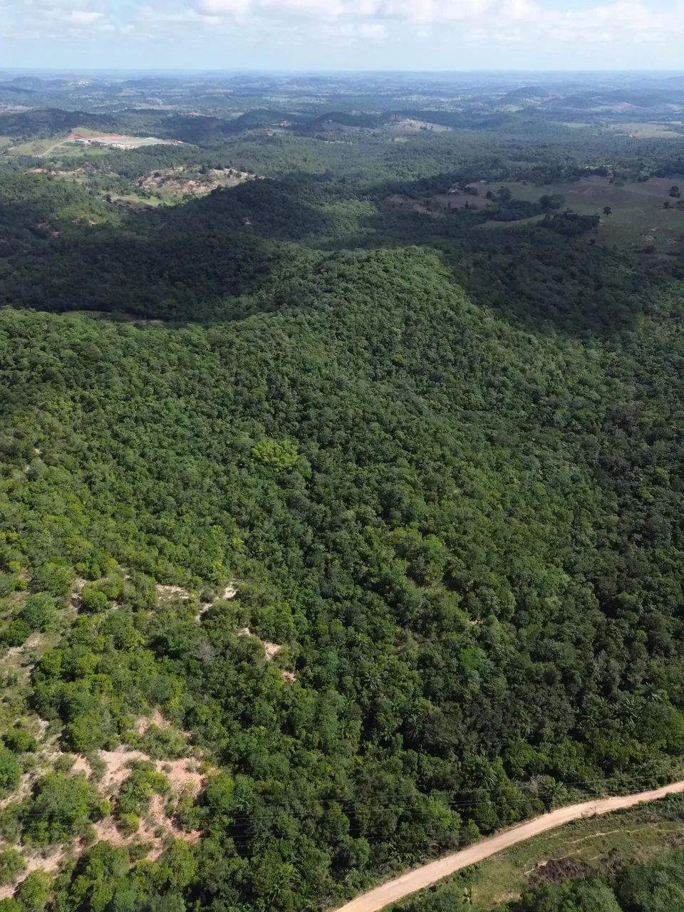 Fazenda de 70 Hectares em Candeias - Bahia - Foto 5