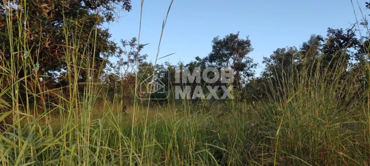 Chácara escriturada DF 140 - 2 ha - Mansões Fazendarias - TORORO - Foto 10