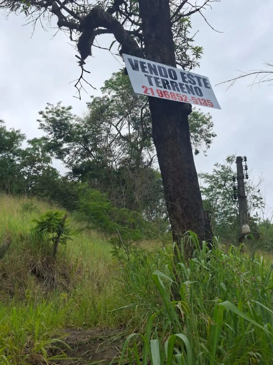 Foto - São Gonçalo - Tribobó