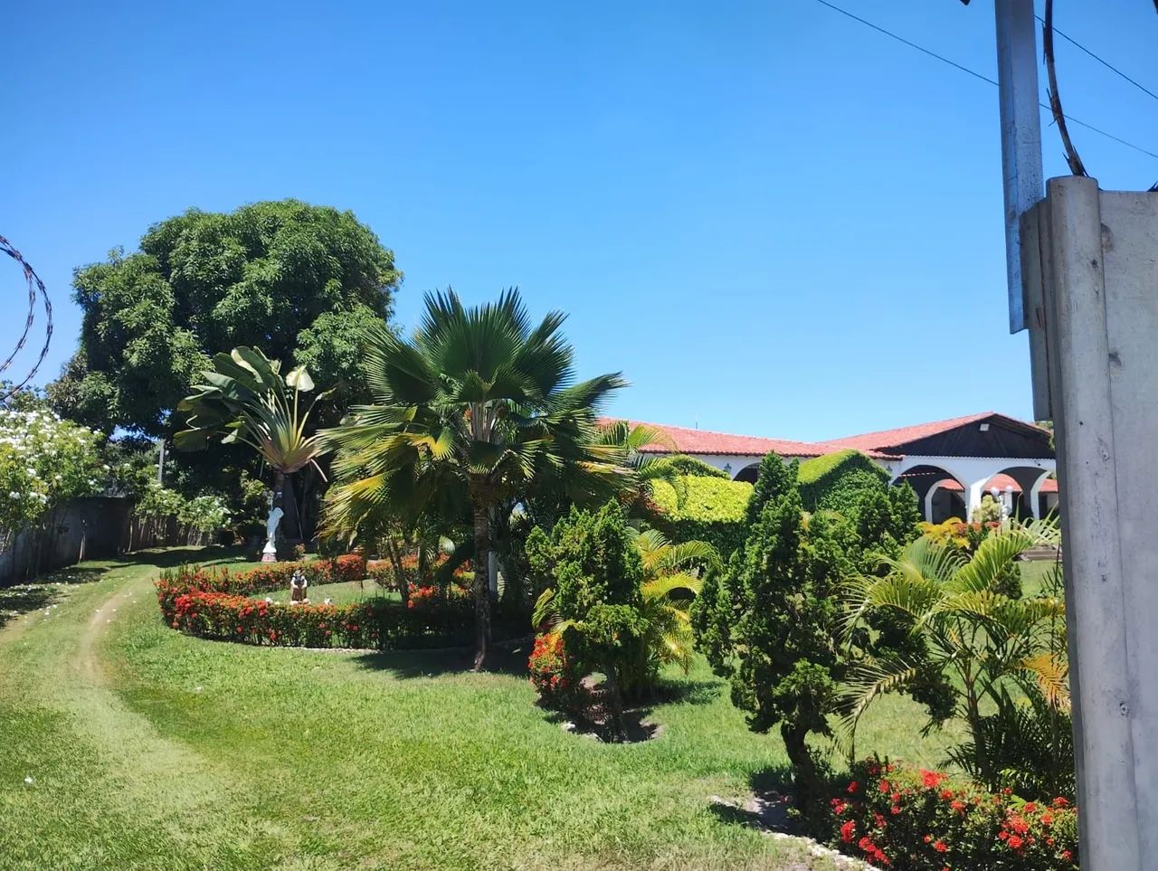 Vendo chácara de 3,77 tarefas no Mosqueiro - Foto 4
